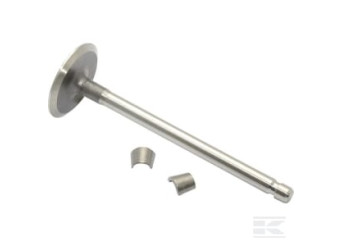 Briggs & Stratton 394435 Soupape d'admission