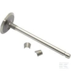 Briggs & Stratton 394435 Soupape d'admission