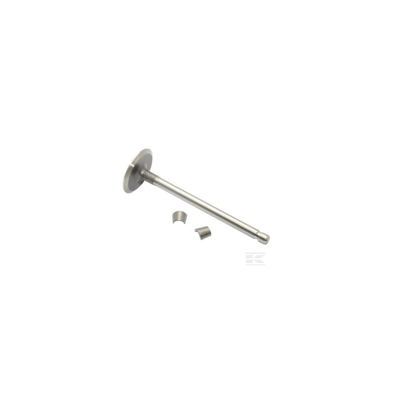 Briggs & Stratton 394435 Soupape d'admission