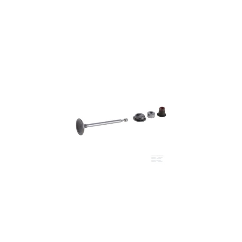 Briggs & Stratton 590530 Soupape d'admission