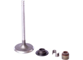 Briggs & Stratton 843730 Soupape d'admission