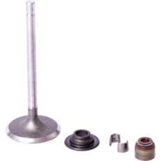 Briggs & Stratton 843730 Soupape d'admission