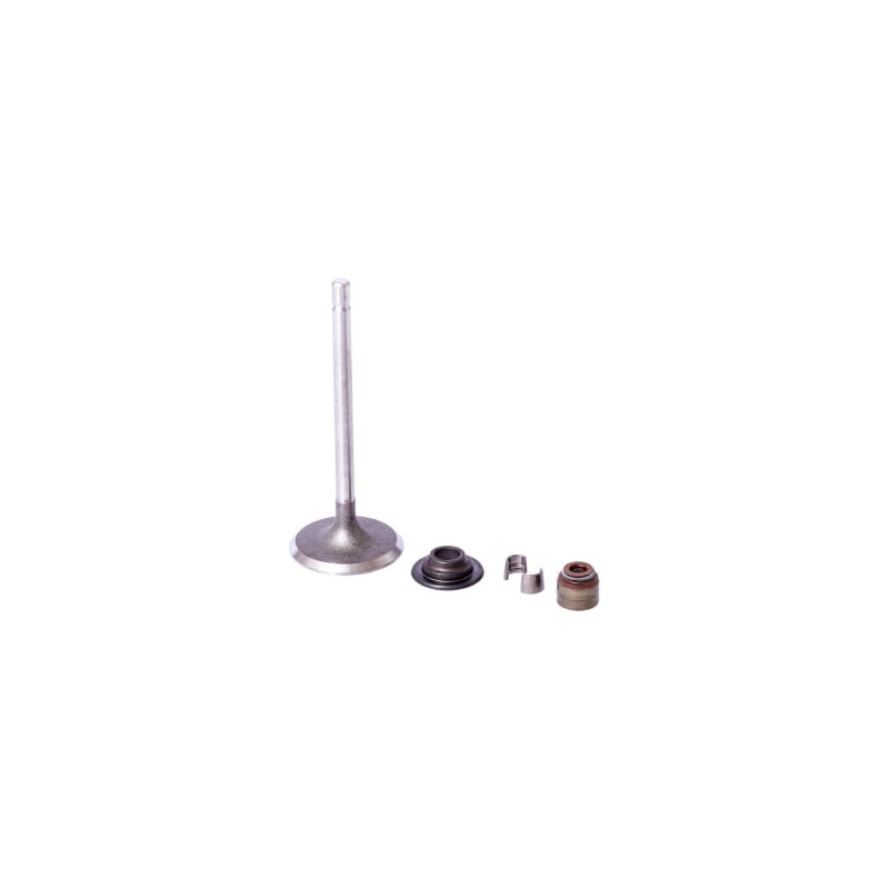 Briggs & Stratton 843730 Soupape d'admission
