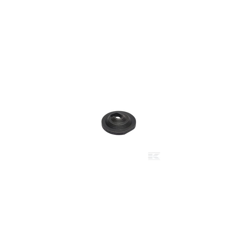 Briggs & Stratton 797204 Vanne de retenue