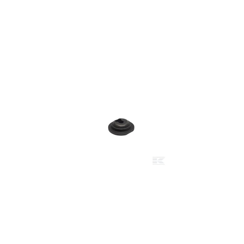 Briggs & Stratton 797205 Vanne de retenue
