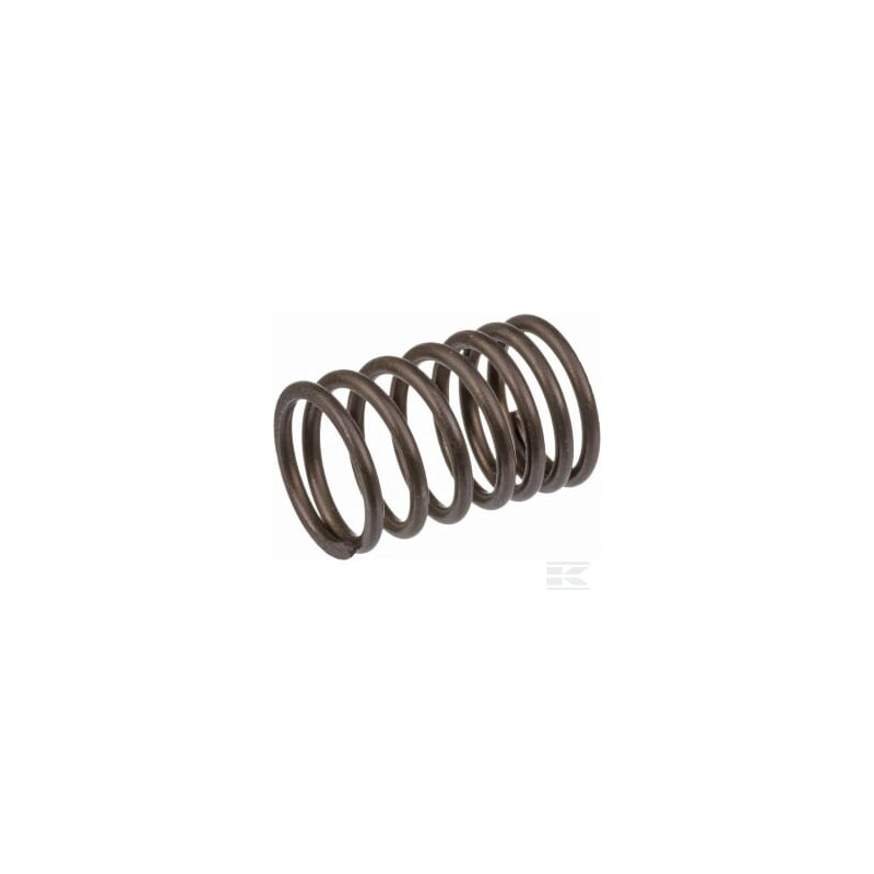Briggs & Stratton 690520 Ressort de soupape