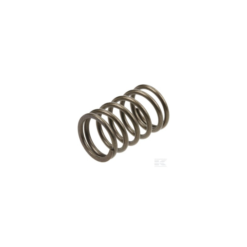 Briggs & Stratton 590532 Soupape à ressort