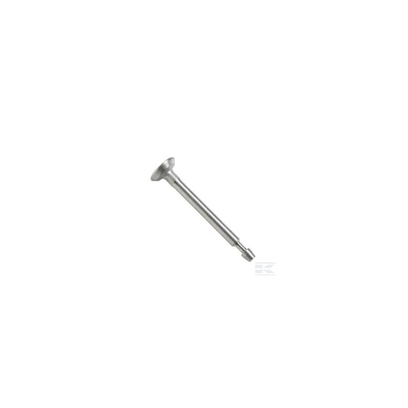 Briggs & Stratton 84013513 soupape d'admission