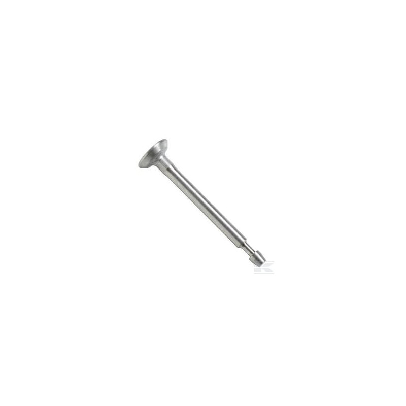 Briggs & Stratton 793556 Soupape d'admission