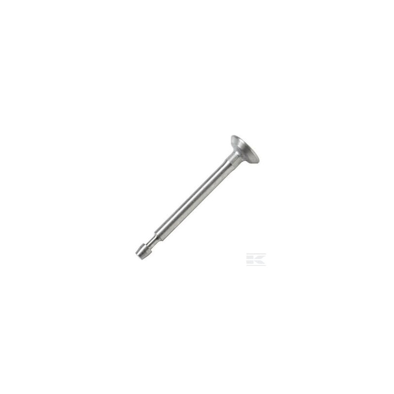 Briggs & Stratton 793557 Soupape d'échappement
