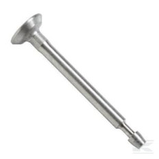 Briggs & Stratton 793504 Soupape d'admission