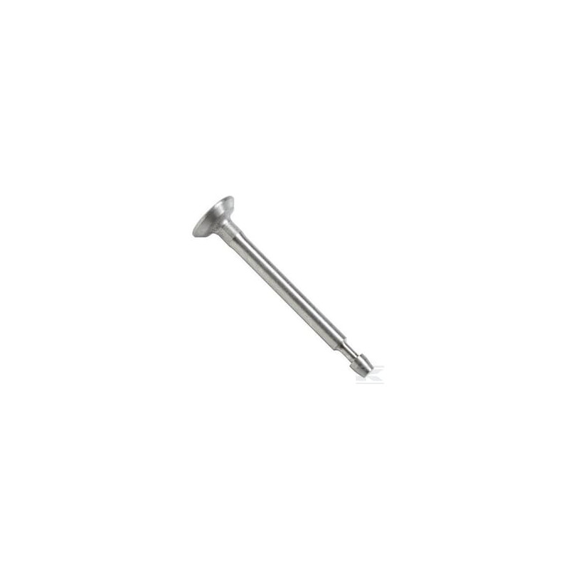 Briggs & Stratton 793504 Soupape d'admission