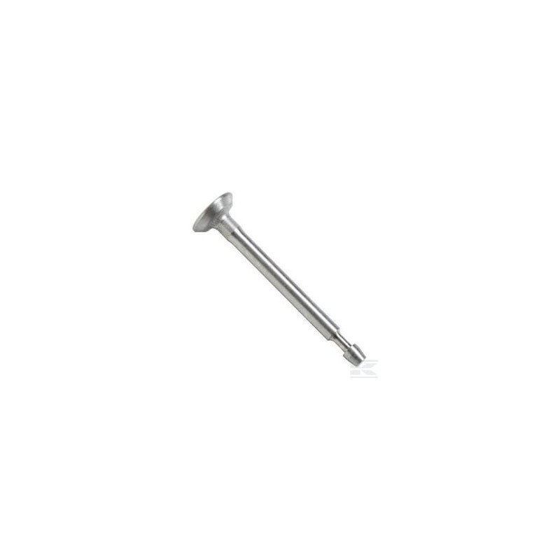 Briggs & Stratton 795199 Soupape d'admission