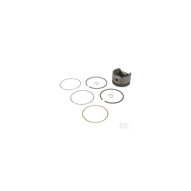 Briggs & Stratton 590404 Piston std
