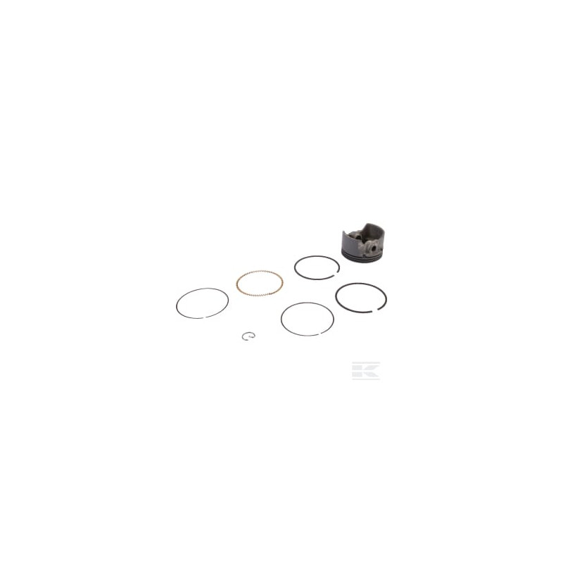 Briggs & Stratton 590521 Piston std.