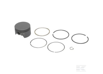 Briggs & Stratton 591975 Piston std.