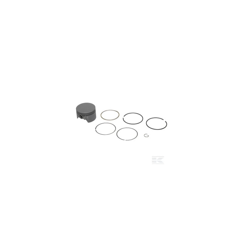 Briggs & Stratton 591975 Piston std.