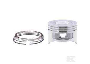 Briggs & Stratton 592613 Piston std.