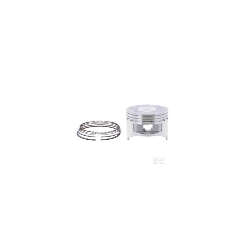 Briggs & Stratton 592613 Piston std.
