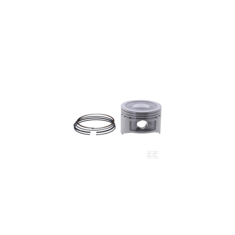 Briggs & Stratton 594235 Piston std.