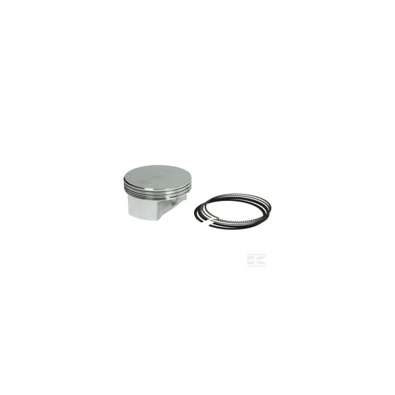 Briggs & Stratton 84011097 Piston