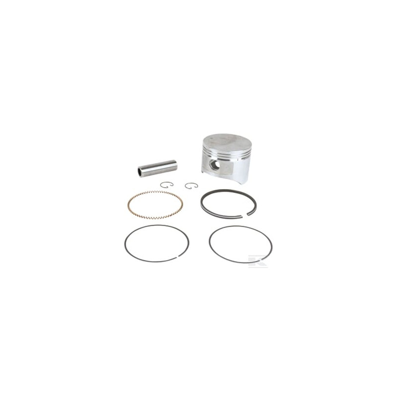 Briggs & Stratton 716138 Piston std