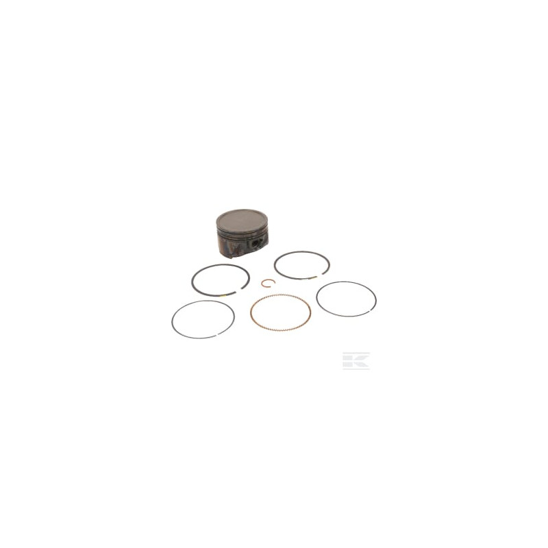 Briggs & Stratton 791786 Piston cpl.