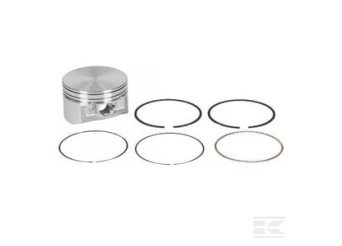 Briggs & Stratton 793647 Piston std