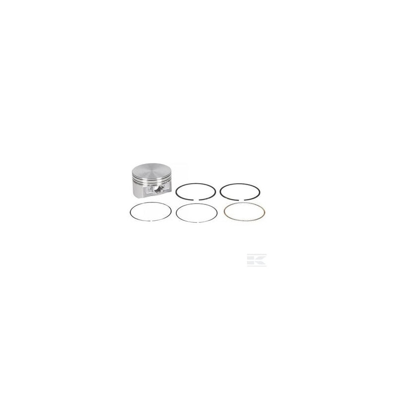 Briggs & Stratton 793647 Piston std