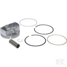 Briggs & Stratton 795858 Ensemble piston