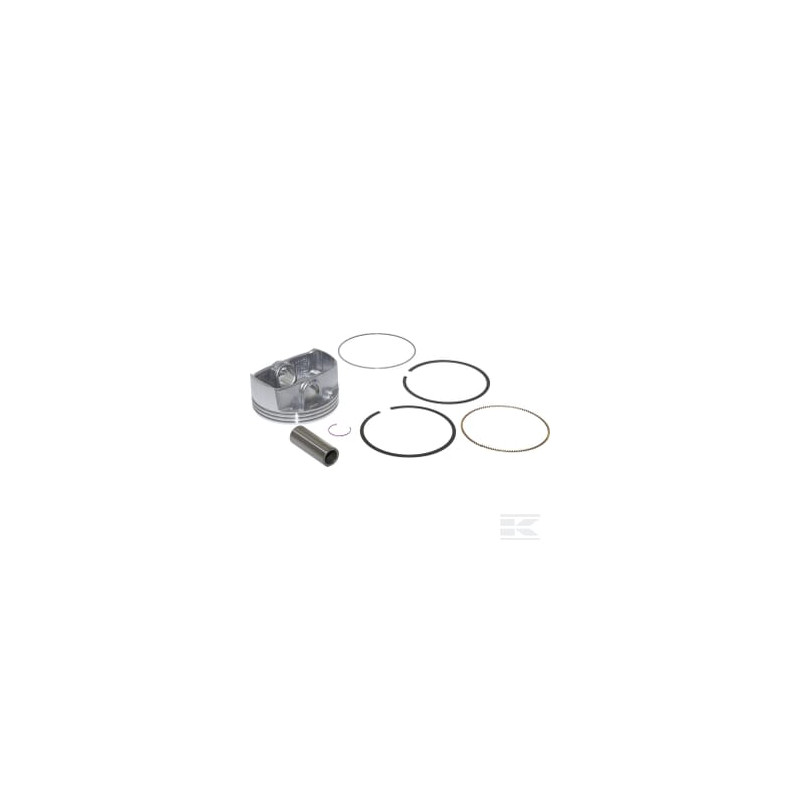 Briggs & Stratton 795858 Ensemble piston