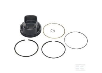 Briggs & Stratton 799270 Piston std.
