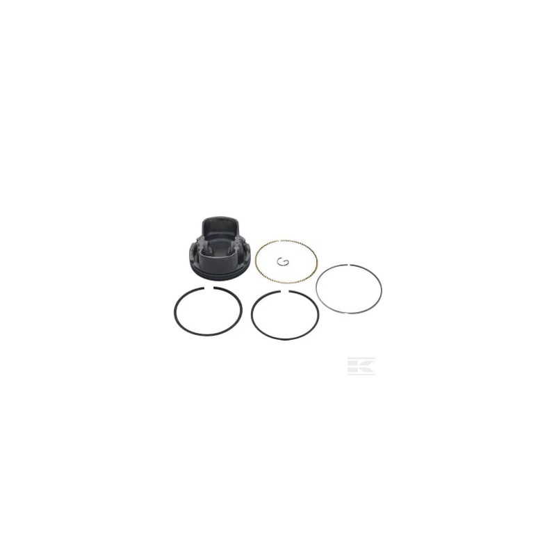 Briggs & Stratton 799270 Piston std.
