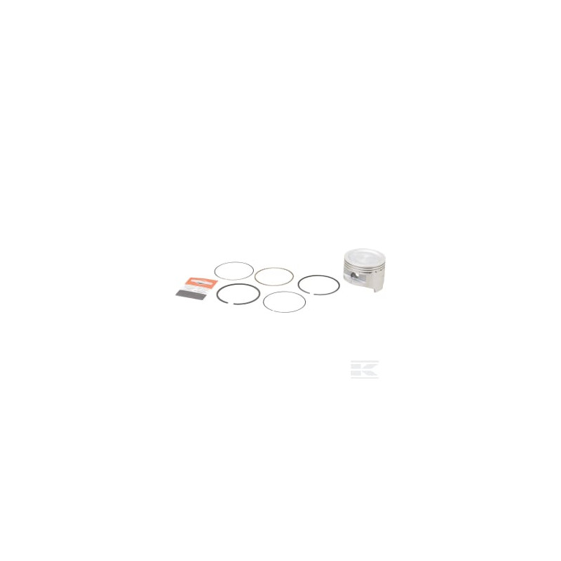 Briggs & Stratton 799535 Piston std.