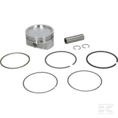 Briggs & Stratton 843805 Piston cpt.