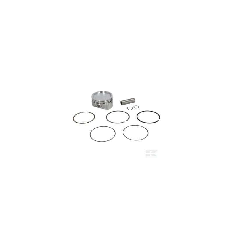 Briggs & Stratton 843805 Piston cpt.