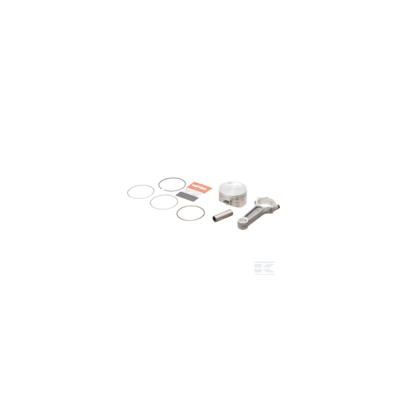 Briggs & Stratton 844009 Ens. piston/tige