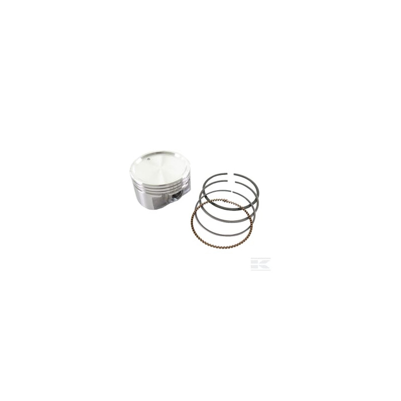 Briggs & Stratton 843792 Piston std.