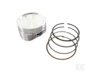 Briggs & Stratton 843951 Piston std.