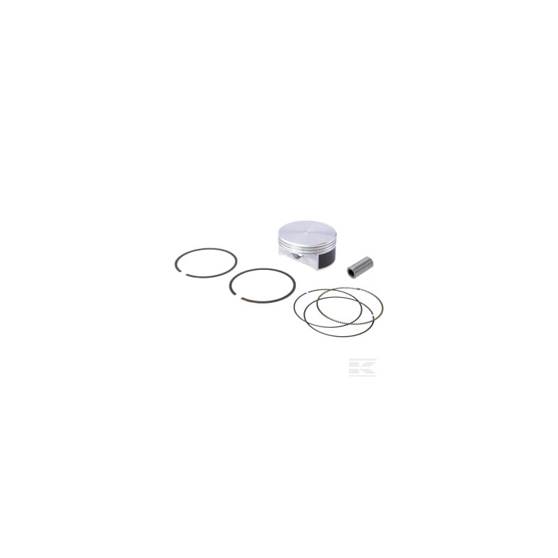 Briggs & Stratton 594540 Piston assembly-020