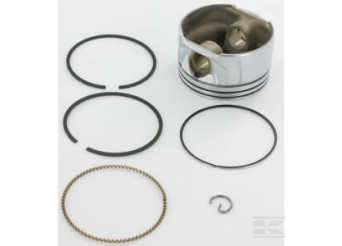 Briggs & Stratton 793518 Piston 020