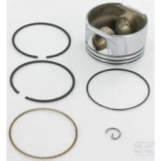 Briggs & Stratton 793518 Piston 020