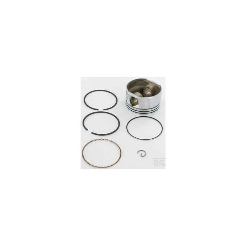 Briggs & Stratton 793518 Piston 020
