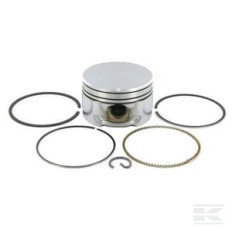 Briggs & Stratton 799064 Ensemble piston 020