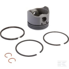 Briggs & Stratton 499909 Piston 020