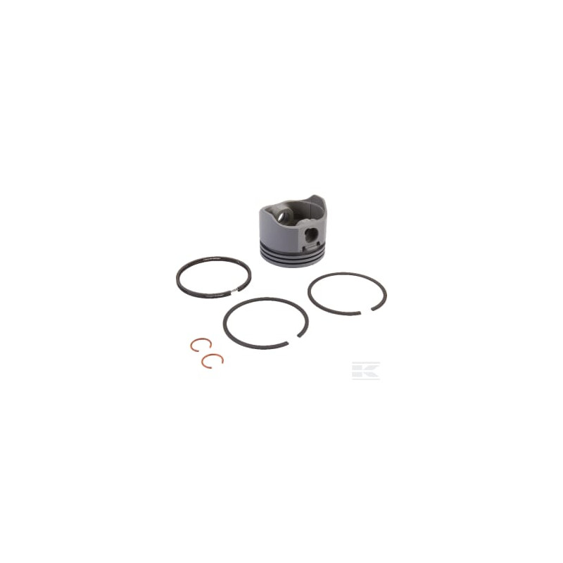 Briggs & Stratton 499909 Piston 020