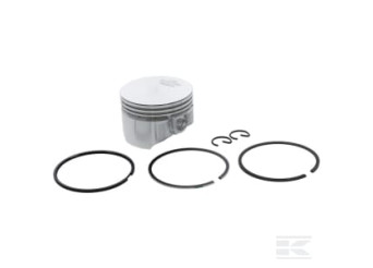 Briggs & Stratton 555660 Ensemble piston