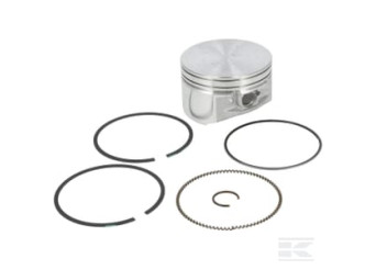 Briggs & Stratton 793648 Ensemble piston 020