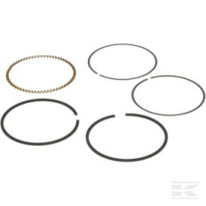 Briggs & Stratton 591976 Kit de segments