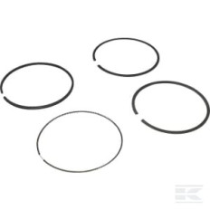 Briggs & Stratton 694004 Jeu de bagues standard